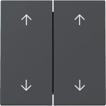 GIRA Rocker 329728 2 krypčių rodyklių System 55 antracito spalvos