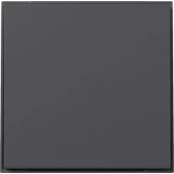 Gira TX44 tiesus jungiklio dangtelis, antracito spalvos, 349667