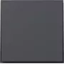 Gira TX44 tiesus jungiklio dangtelis, antracito spalvos, 349667