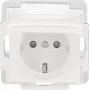 BUSCH-JAEGER SCHUKO lizdo įdėklas 16A 250V įleidžiamas Alpinės baltos spalvos 2CKA002013A5446