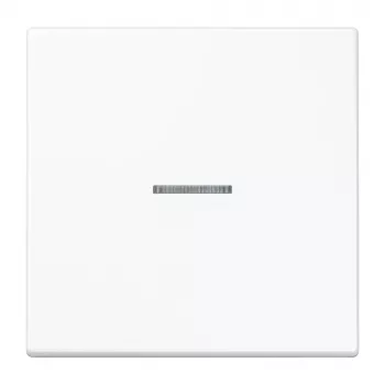 Jung KNX RF 1-gang stumiamasis mygtukas, termoreaktyvusis plastikas, LS serija, Alpine White LS10911STRFWW