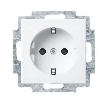 Busch-Jaeger 100er SCHUKO lizdo įdėklas, 20 vienetų paketas, baltas/šviesiai pilkas 2CKA002013A5545