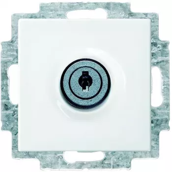 Busch-Jaeger Busch-balance SI rakinamas Schuko lizdo įdėklas, Alpinės baltos spalvos 20 EUKBSL-914