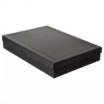 FALKEN PURE dėžė daiktams laikyti 27,0 l juoda 44,0 x 62,0 x 10,0 cm, 1 vnt. 22001768000F