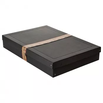 FALKEN PURE dėžė daiktams laikyti 27,0 l juoda 44,0 x 62,0 x 10,0 cm, 1 vnt. 22001768000F