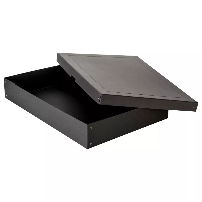FALKEN PURE dėžė daiktams laikyti 27,0 l juoda 44,0 x 62,0 x 10,0 cm, 1 vnt. 22001768000F