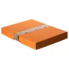 FALKEN PURE dokumentų dėžė 500 lapų pastelinės oranžinės spalvos 24,0 x 32,0 x 4,0 cm 22001832000F
