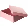 FALKEN PURE dokumentų saugojimo dėžė 1250 lapų pastelinės rožinės spalvos 24,0 x 32,0 x 10,0 cm 22001888000F