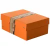 FALKEN PURE dokumentų laikymo dėžė 1250 lapų pastelinės oranžinės spalvos 18,0 x 25,0 x 10,0 cm, 1 vnt. (22001848000F)