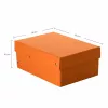 FALKEN PURE dokumentų laikymo dėžė 1250 lapų pastelinės oranžinės spalvos 18,0 x 25,0 x 10,0 cm, 1 vnt. (22001848000F)
