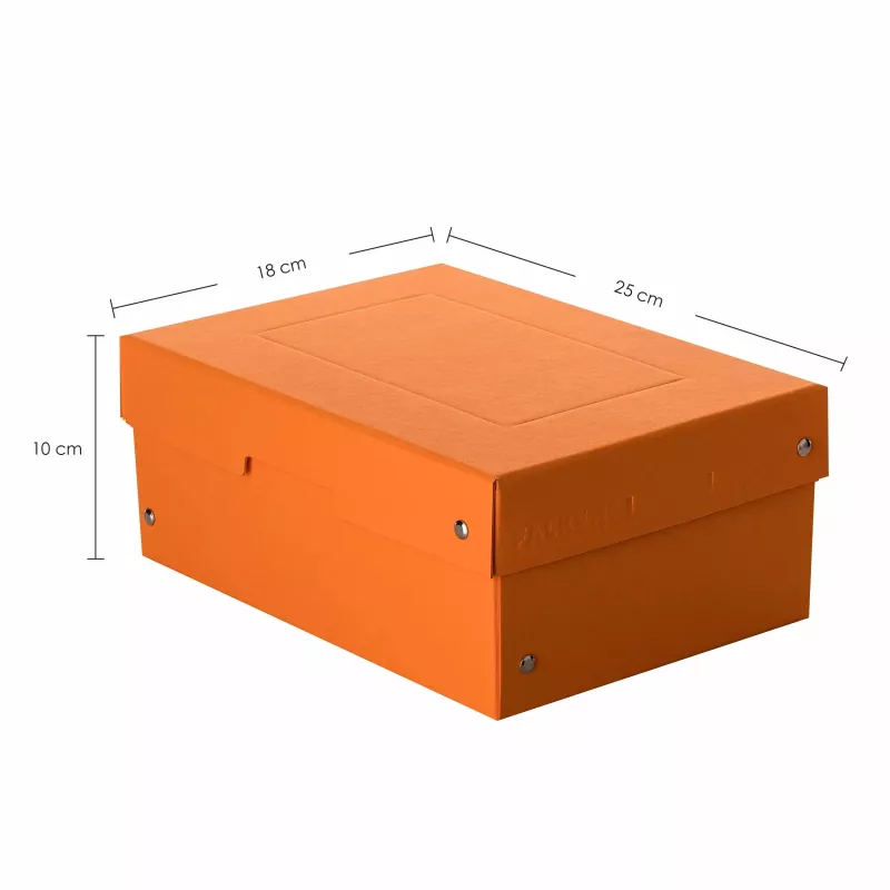 FALKEN PURE dokumentų laikymo dėžė 1250 lapų pastelinės oranžinės spalvos 18,0 x 25,0 x 10,0 cm, 1 vnt. (22001848000F)