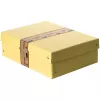FALKEN PURE dokumentų saugojimo dėžė 1250 lapų pastelinė geltona 24,0 x 32,0 x 10,0 cm, 1 vnt. 22001936000F
