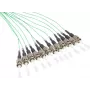 GoodConnections Alcasa LW-802PT 2m 12x ST Turkio spalvos optinis pleistras (LW-802PT)