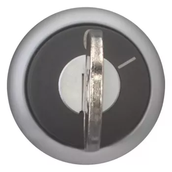 Eaton M22-WRS-A1 raktu valdomas perjungiklis, 2 padėčių, fiksuojamas, juodas, sidabrinis titaninis priekinis žiedas, 22,5 mm montavimas, IP66/IP67/IP69K 229092