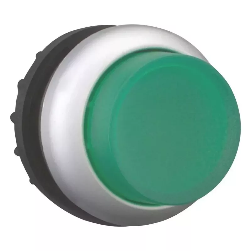 Eaton M22-DRLH-G iškilus žalias mygtukas su tuščiu paviršiumi, 22,5 mm 216796