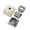 Telegärtner Cat.6 ekranuota RJ-45 tinklo sieninė rozetė, perlamutrinė balta