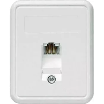 TELEGÄRTNER paviršinio montavimo RJ45 lizdas 1xRJ45 neekranuotas, Cat. 5e (A0174)