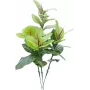 EUROPALMS Dirbtinis kaučiukmedis 100cm, tikroviška Ficus elastica, juodame plastikiniame vazone 82508303