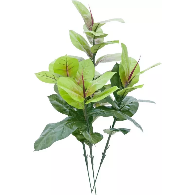 EUROPALMS Dirbtinis kaučiukmedis 100cm, tikroviška Ficus elastica, juodame plastikiniame vazone 82508303