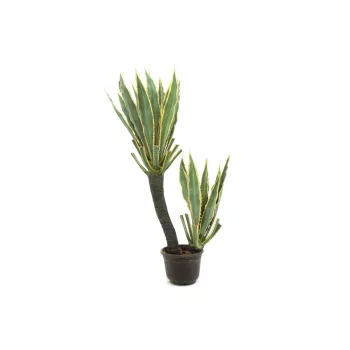 EUROPALMS Orchid Cactus dirbtinis augalas, 160cm 82809035