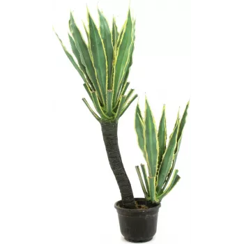 EUROPALMS Orchid Cactus dirbtinis augalas, 160cm 82809035