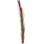 EUROPALMS dirbtinė nendrinė žolė su švendrėmis, šviesiai rudos spalvos, 152 cm, 82505856