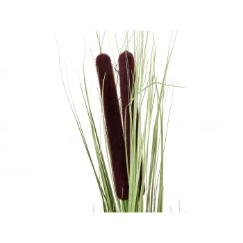 EUROPALMS dirbtinė nendrių žolė su varpomis, šviesiai žalia, 152cm 82505855