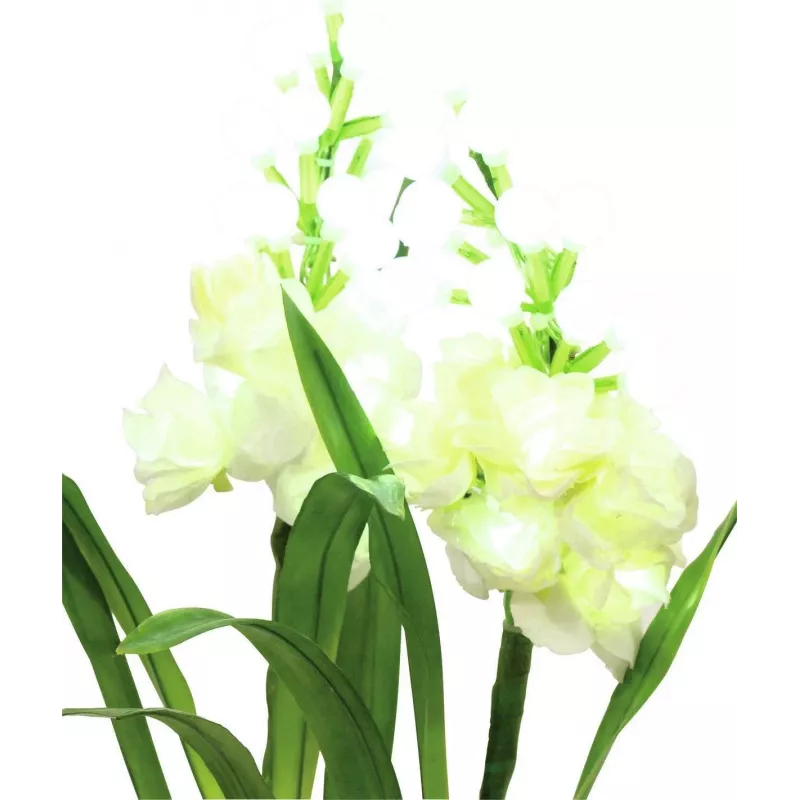 EUROPALMS Aronstab, 3 vnt. rinkinys su LED, baltos spalvos, 85 cm (83330302)