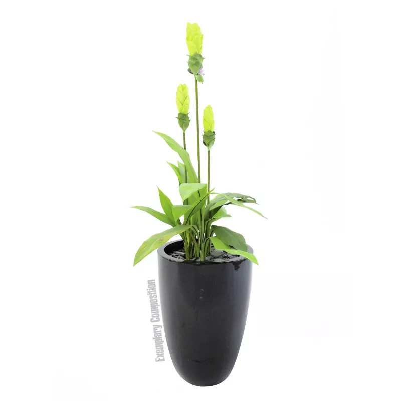 Europalms LEICHTSIN CUP-69 vazonas, juodas, blizgus (83011819)