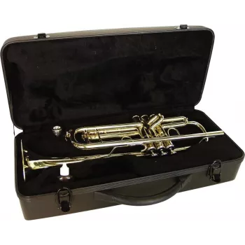 DIMAVERY TP-20 Bb trimitas, auksinio lako apdaila 26503150
