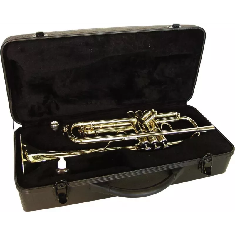 DIMAVERY TP-20 Bb trimitas, auksinio lako apdaila 26503150