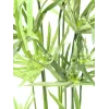 EUROPALMS dirbtinė Cyperus žolė, 76cm, juodame vazone 82600138