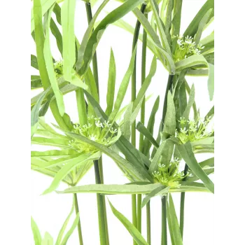 EUROPALMS dirbtinė Cyperus žolė, 76cm, juodame vazone 82600138