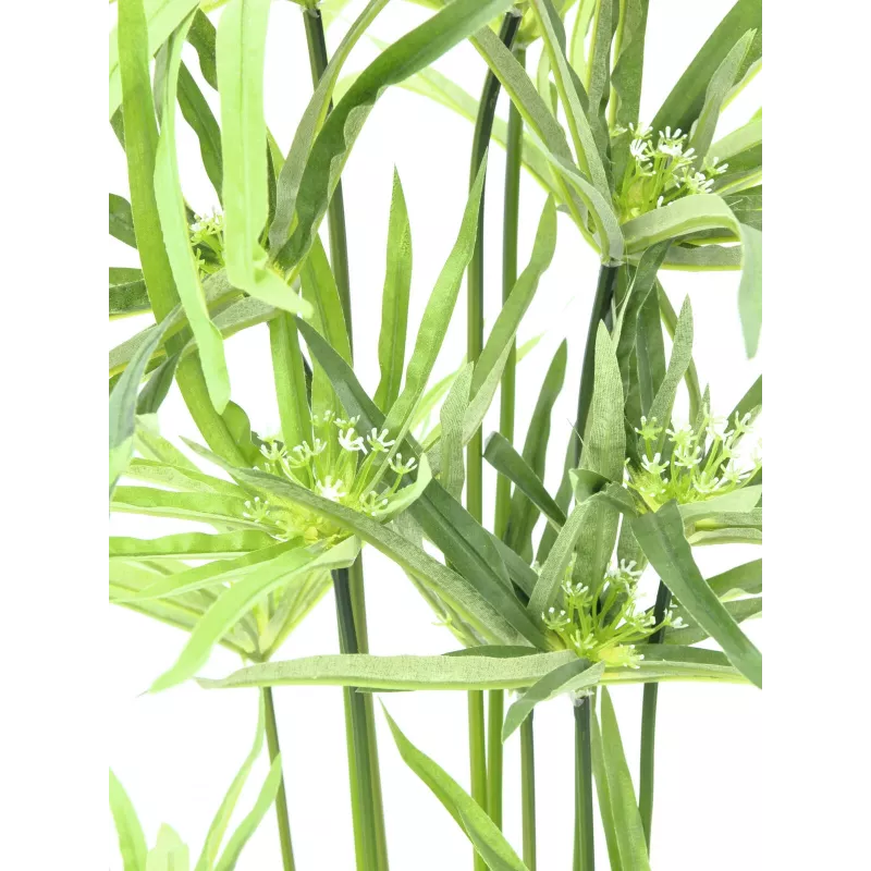 EUROPALMS dirbtinė Cyperus žolė, 76cm, juodame vazone 82600138