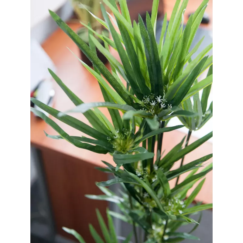 EUROPALMS dirbtinė Cyperus žolė, 76cm, juodame vazone 82600138