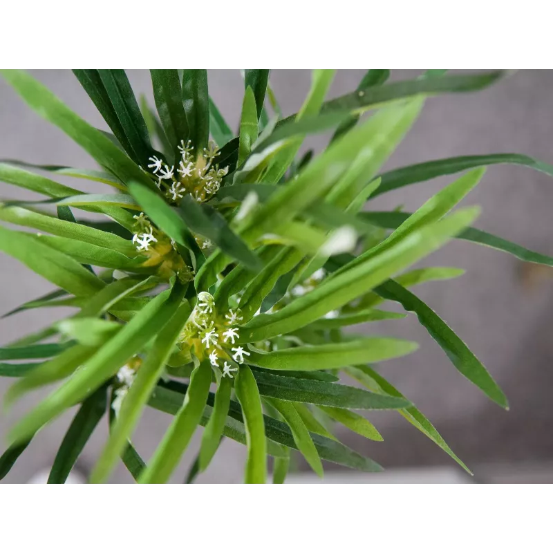 EUROPALMS dirbtinė Cyperus žolė, 76cm, juodame vazone 82600138