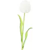 EUROPALMS Crystal Tulip dirbtinė gėlė, balta, 61cm, 12 vnt. (82600204)