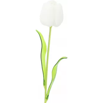EUROPALMS Crystal Tulip dirbtinė gėlė, balta, 61cm, 12 vnt. (82600204)