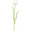 EUROPALMS Crystal Tulip dirbtinė gėlė, balta, 61cm, 12 vnt. (82600204)