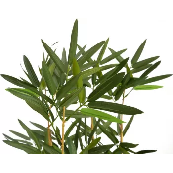 EUROPALMS Dirbtinis bambukas dekoratyvinėje vazoje, 150cm 82509262
