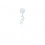 EUROPALMS Crystal Rose dirbtinė gėlė, permatoma, 81cm, 12 vienetų paketas 82600210