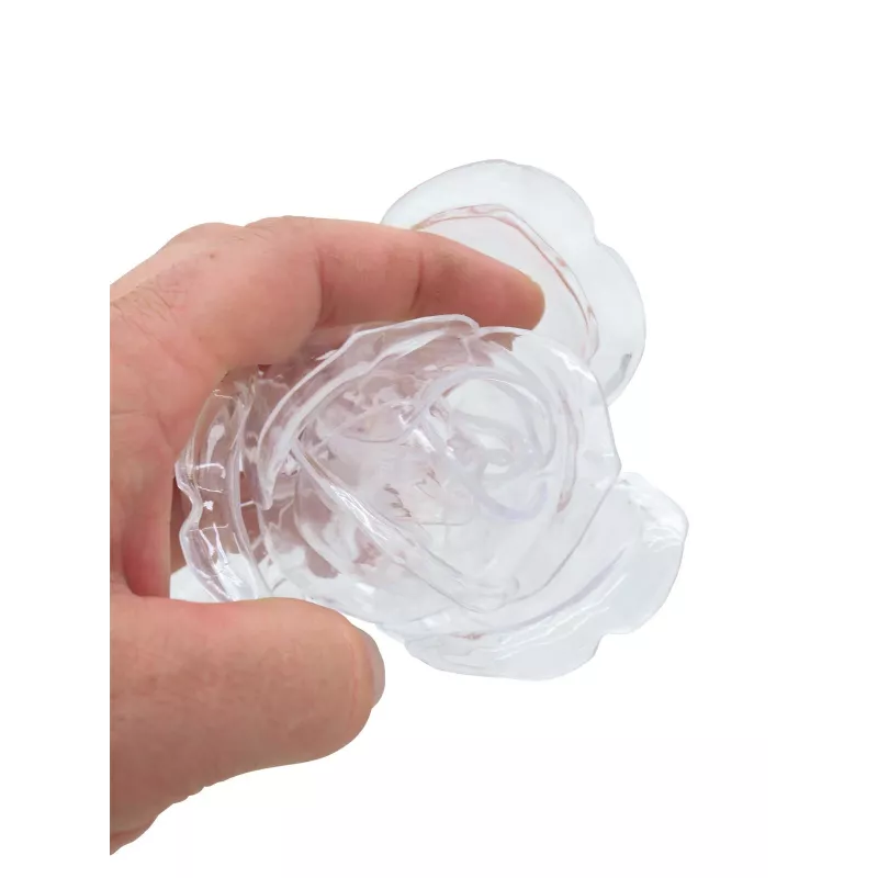 EUROPALMS Crystal Rose dirbtinė gėlė, permatoma, 81cm, 12 vienetų paketas 82600210