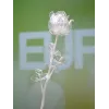 EUROPALMS Crystal Rose dirbtinė gėlė, permatoma, 81cm, 12 vienetų paketas 82600210