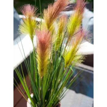 EUROPALMS dirbtinė plunksninė žolė, rožinė, 90cm 82505865