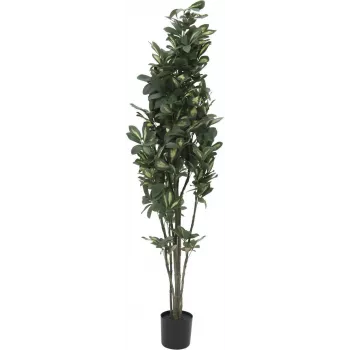 EUROPALMS Schefflera dirbtinis augalas, 120cm, žalias 82600157