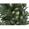 EUROPALMS Schefflera dirbtinis augalas, 120cm, žalias 82600157