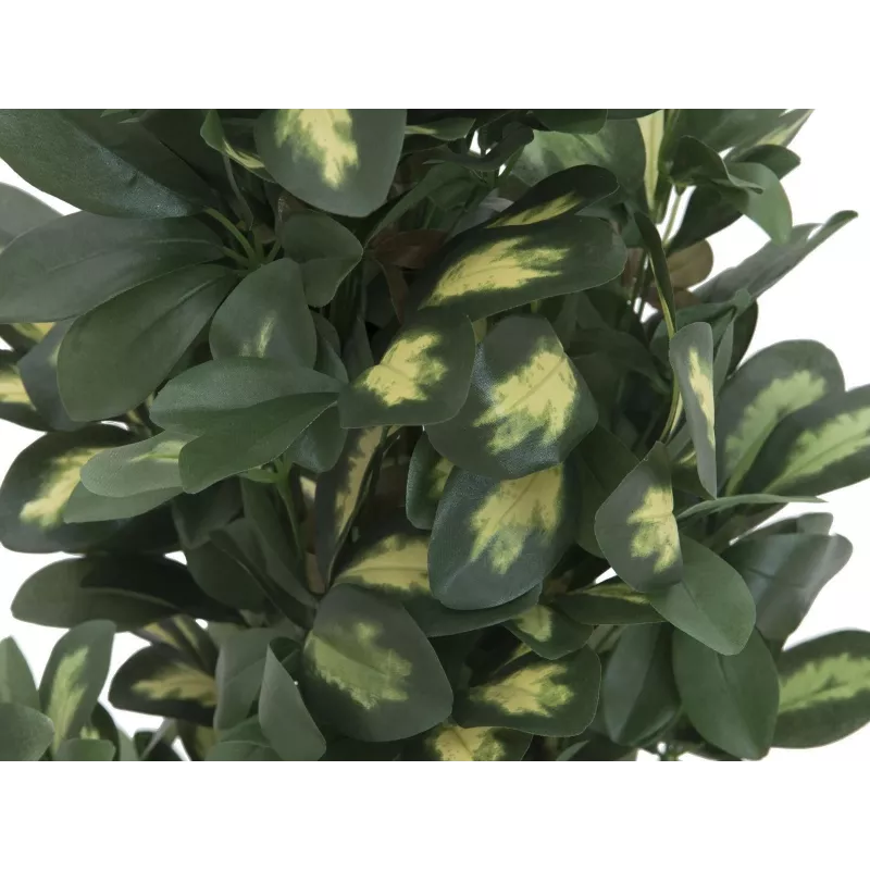 EUROPALMS Schefflera dirbtinis augalas, 120cm, žalias 82600157