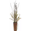 EUROPALMS dirbtinė eukalipto šakelė, geltonai žalia, 110cm 82505622