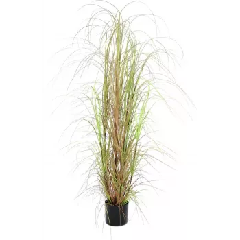 EUROPALMS Dirbtinė žolės krūmas, 150cm, žalias, dekoracija patalpoms 82600127