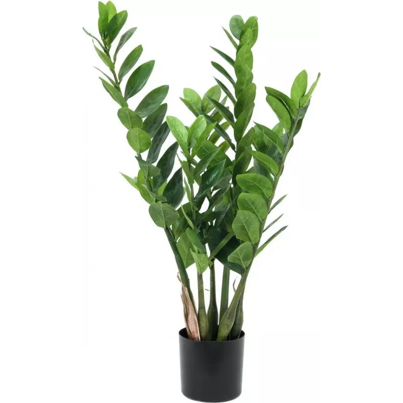EUROPALMS Zamifolia dirbtinis ZZ augalas, 70 cm, juodas vazonas 82600153